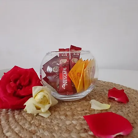 Red Rose *